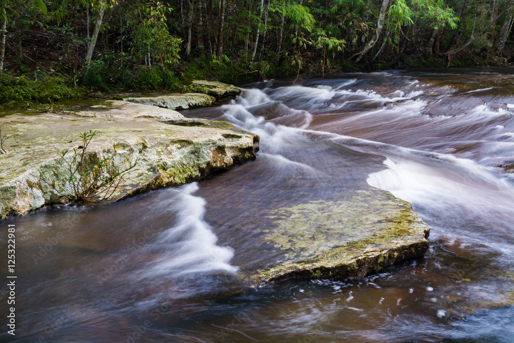 Fototapeta premium Stream in the tropical forest.