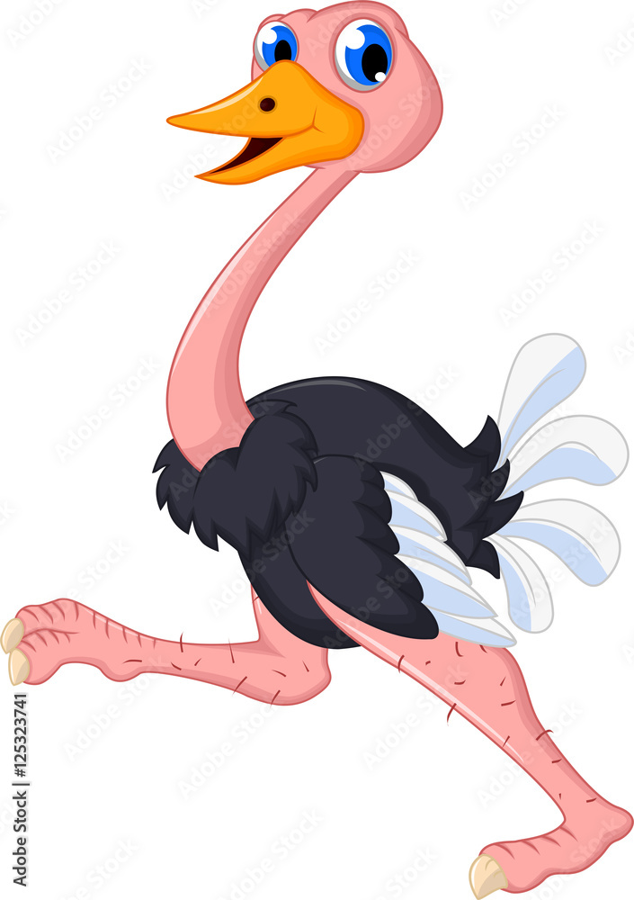 ostrich cartoon running Stock Illustration | Adobe Stock