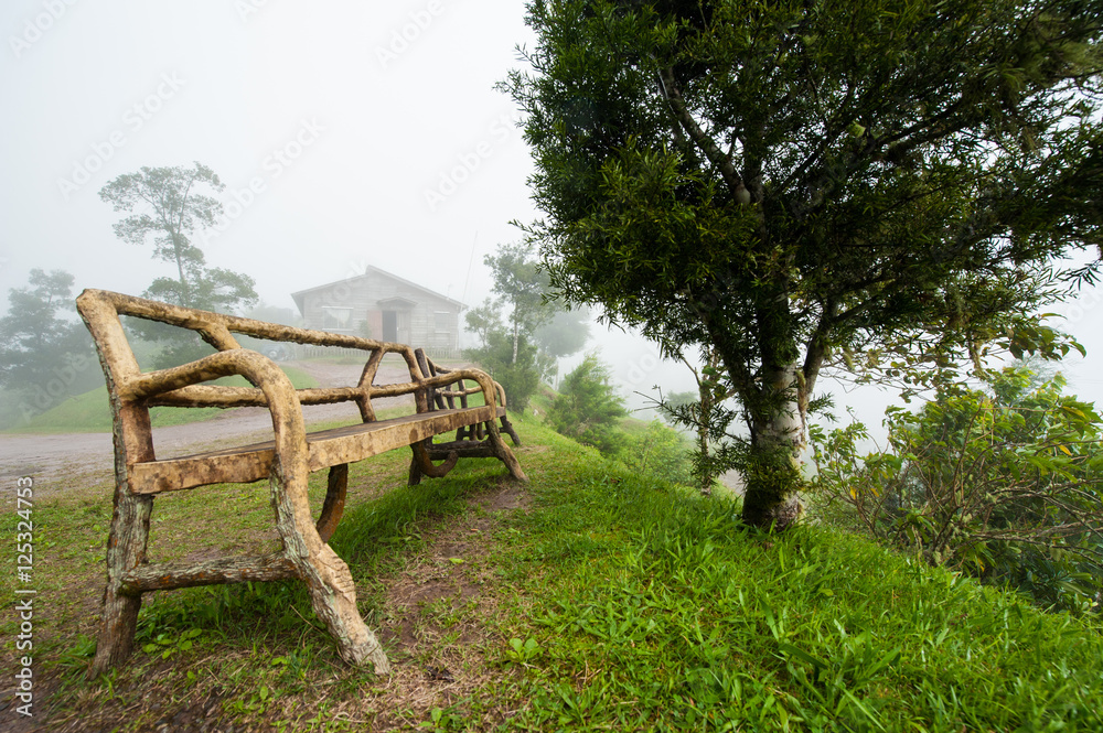 Park Bench at Hollywell Blue Mountain Jamaica Park Bench at Hollywell Blue Mountain Jamaica