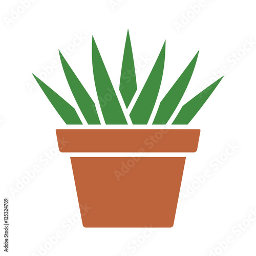 Aloe Aristata succulent potted plan flat color icon for apps and websites
