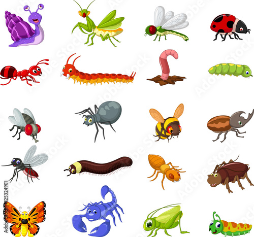 collection of insects cartoon for you design © jihane37