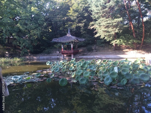 Peace Garden