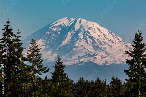Mt. Ranier in summer