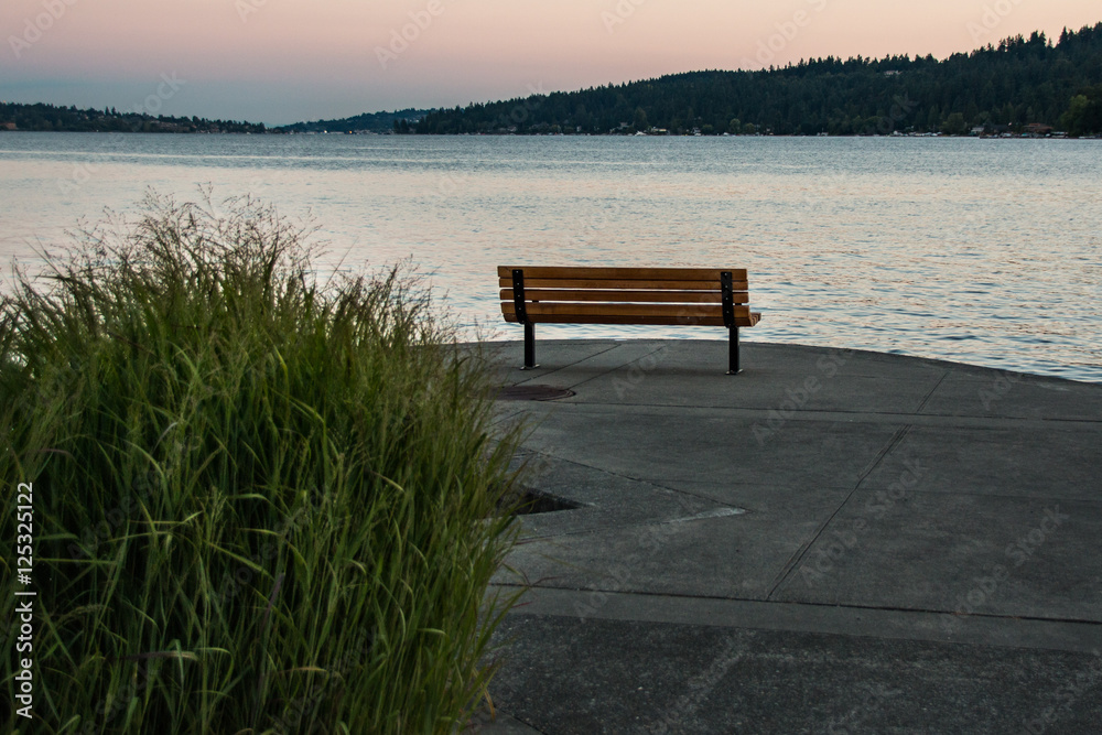 Lake Washington park bench