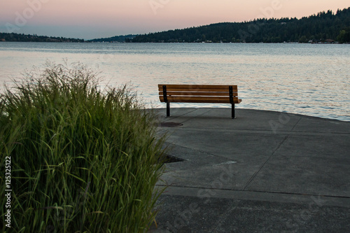 Lake Washington park bench