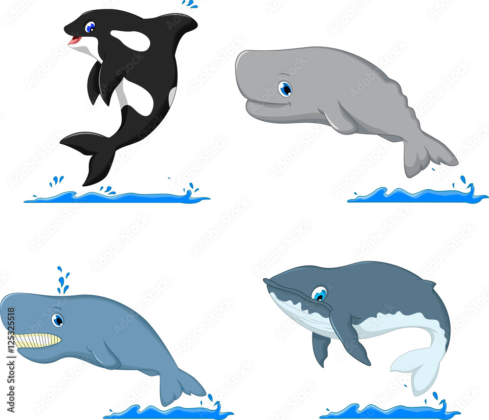 Fototapeta premium whale cartoon collection for you design