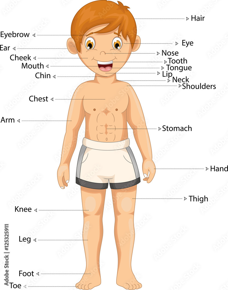 Fototapeta premium boy body part cartoon