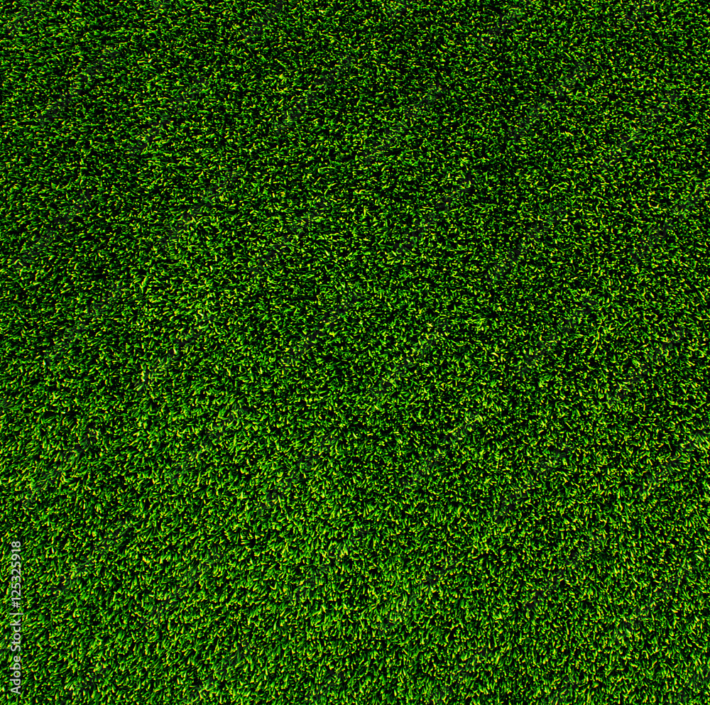 Obraz premium artificial grass