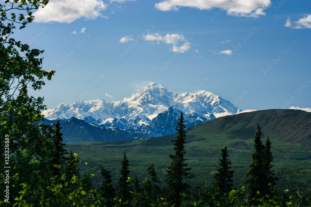 Mt. McKinley in summer