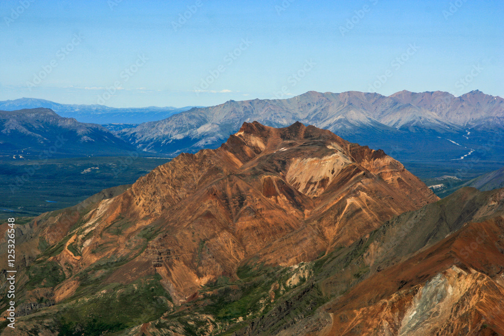 Denali Park summer