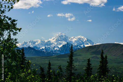 Mt. McKinley in summer