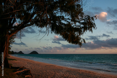Bellows beach at dawn