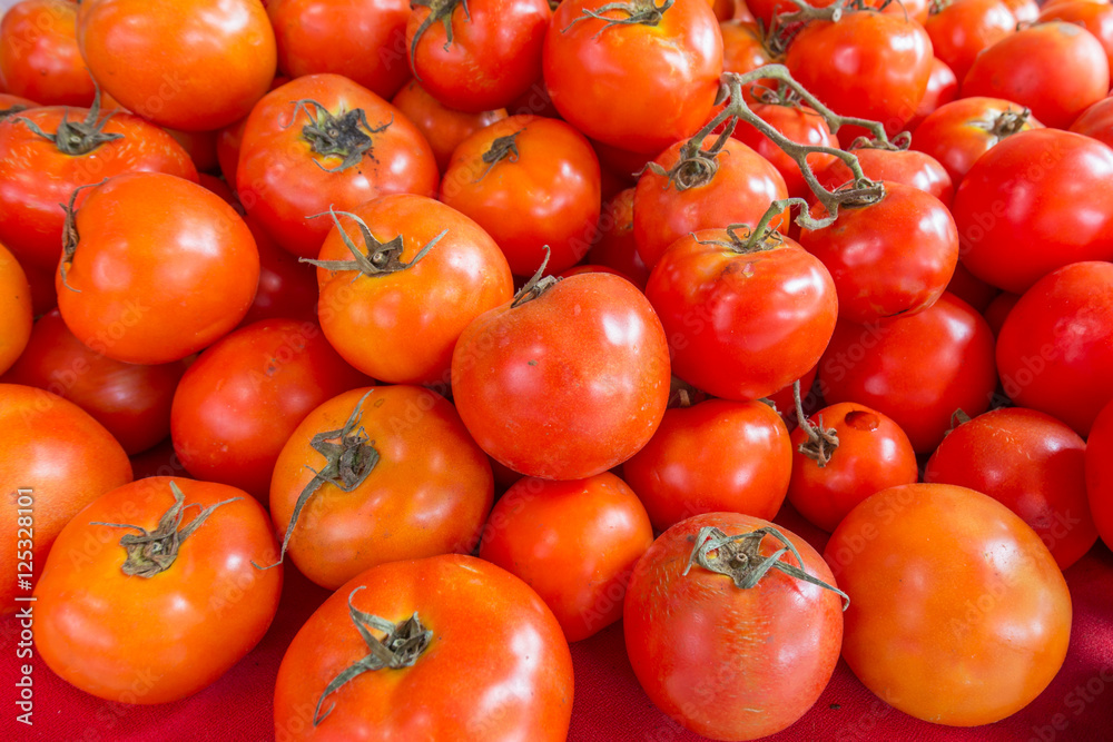 Fresh tomato from organic farm Fresh tomato from organic farm