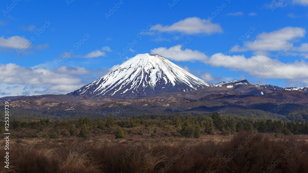 Ngauruhoe volcano in Tongariro National Park, New Zealand Ngauruhoe volcano in Tongariro National Park, New Zealand