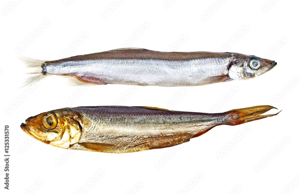 Capelin fish and smoked sprat isolated on white background Capelin fish and smoked sprat isolated on white background