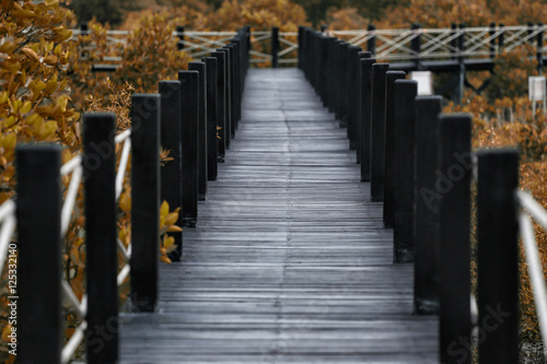 Wooden bridge of walkways in mangrove forest with autumn leaves.
