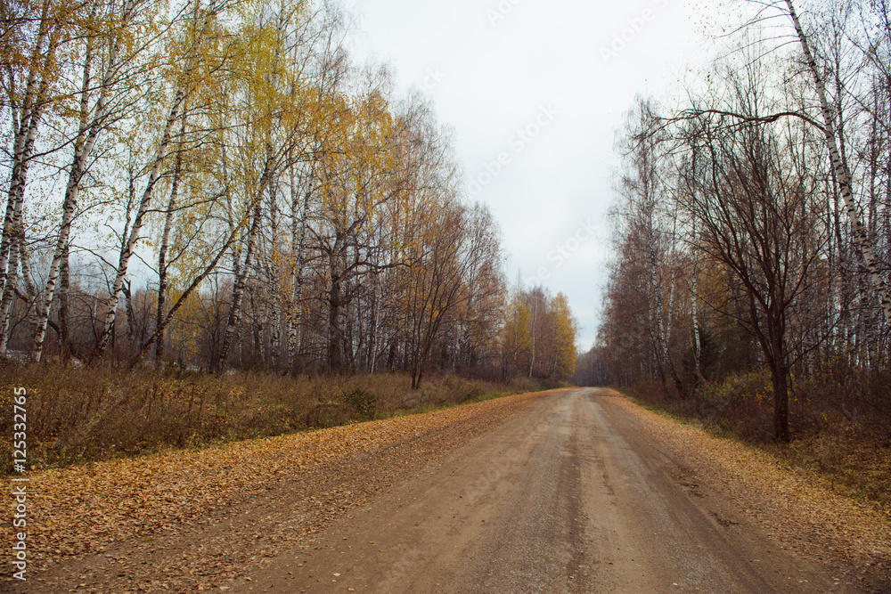 Naklejka premium загородная дорога с осенними листьями