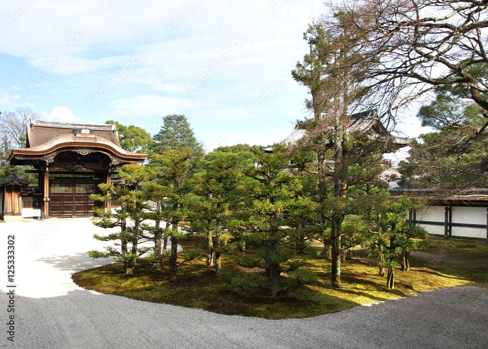 The beautiful  japan garden in kyoto ,japan 
