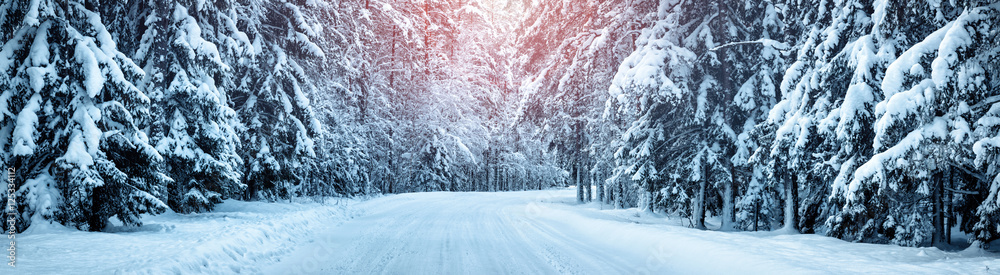 Obraz premium winter panorama on the road through coniferous forest