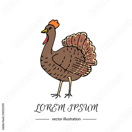 Hand drawn doodle cute Turkey icon. Vector illustration isolated autumn holiday symbol collection. Cartoon celebration element: bird, farm bird animal, Vector farm animal. Turkey vector illustration.