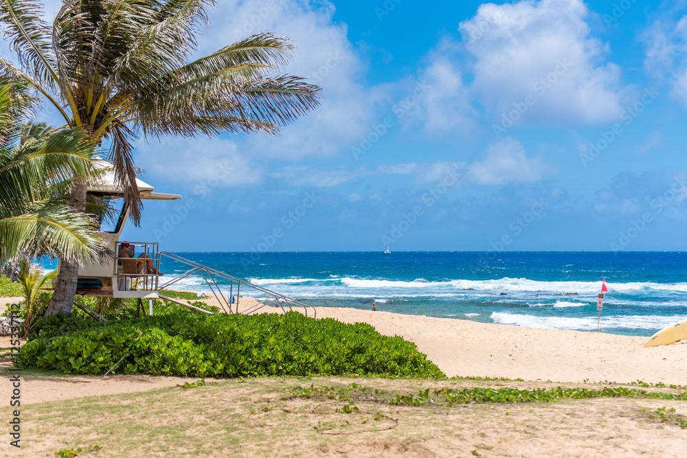 Hawaii Oahu Travel Trip Wave Surf Blue Ocean Sky Sea Beach