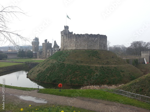 Chateau de Cardif catapulte