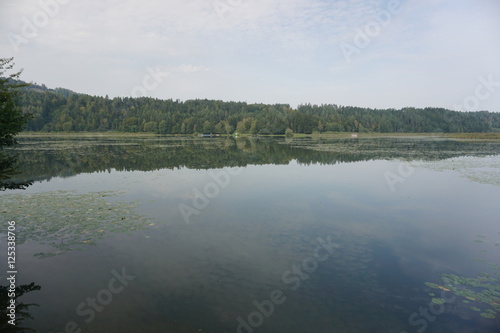 Gösselsdorfer See, See, Badesee, Eberndorf, Sittersdorf, verlandet, Landschaftsschutzgebiet, Völkermarkt photo