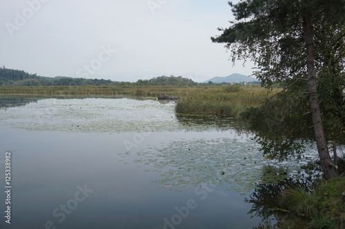 Gösselsdorfer See, See, Badesee, Eberndorf, Sittersdorf, verlandet, Landschaftsschutzgebiet, Völkermarkt photo