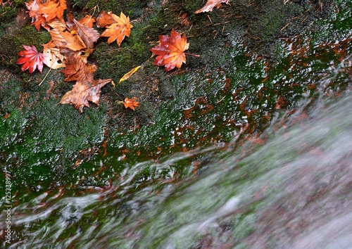 秋の滝の流れ-横谷渓谷、日本 © askaflight