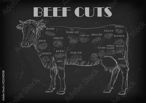 Beef cow bull whole carcass cuts cut parts infographics scheme 
