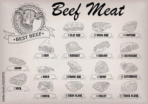 Beef cow bull whole carcass cuts cut parts infographics scheme