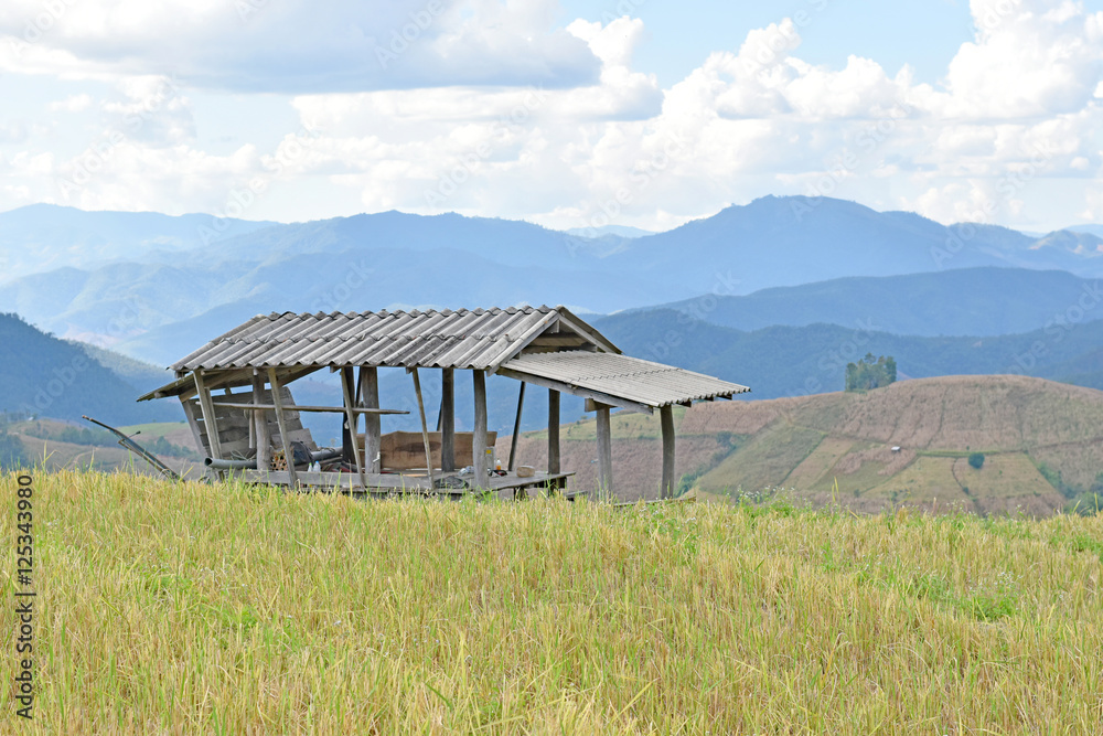 Terrace rice field in maejam Thailand, Terrace rice field in maejam Thailand,