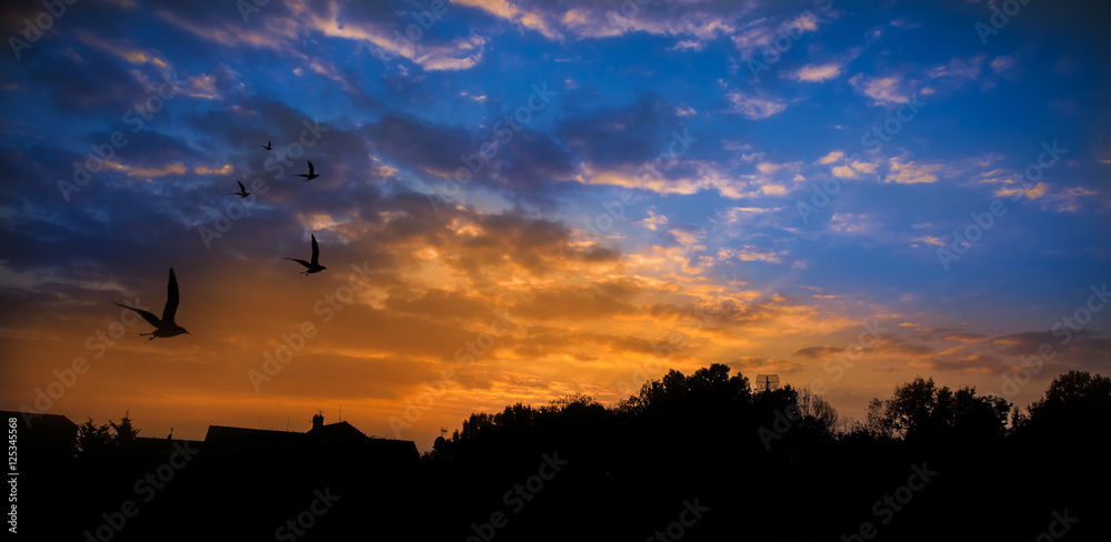 silhouette of village architecture and nature on multicolor sunset