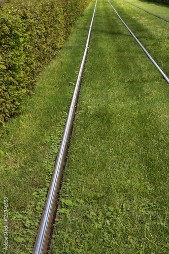 Steel rails with green grass