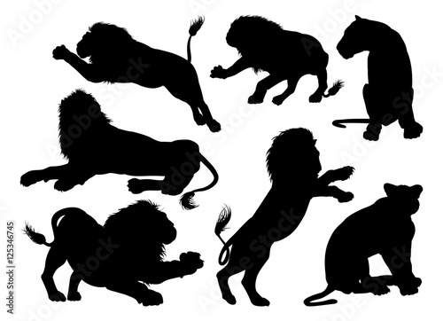 Fototapeta Naklejka Na Ścianę i Meble -  Silhouette Lions