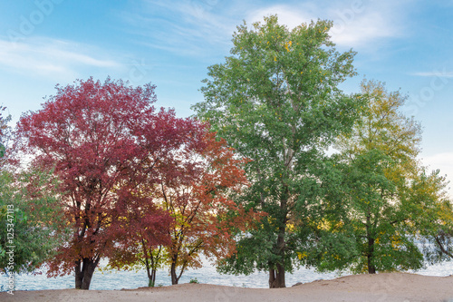 Colourful green, red, yellow, orange trees on river bank