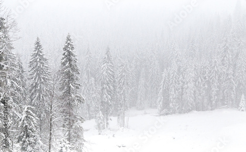 Snow time, Jahorina mountain