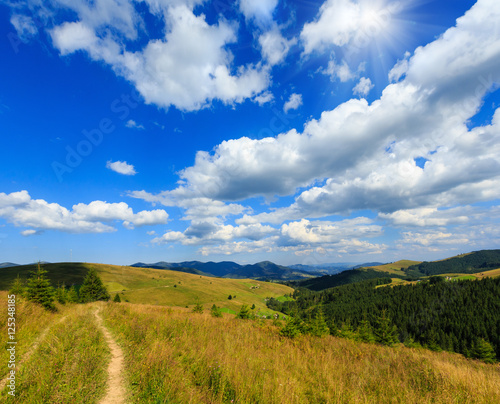 Summer mountain sunshiny view  Carpathian  Ukraine .