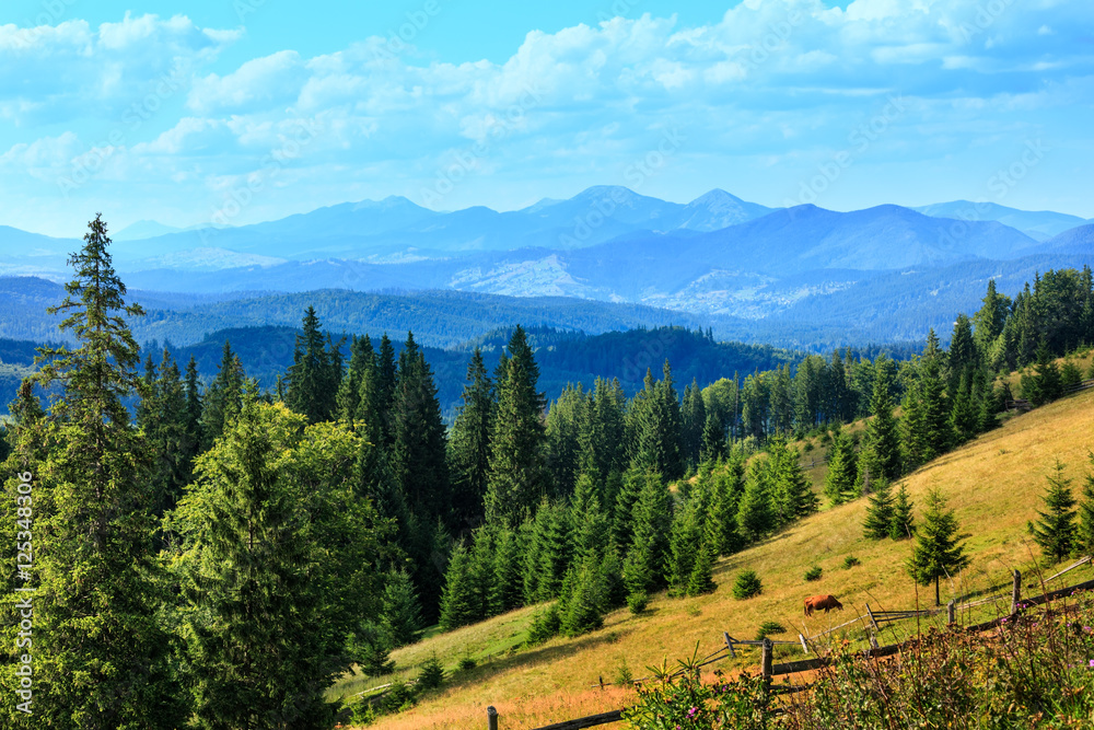 Summer mountain country view (Carpathian, Ukraine).