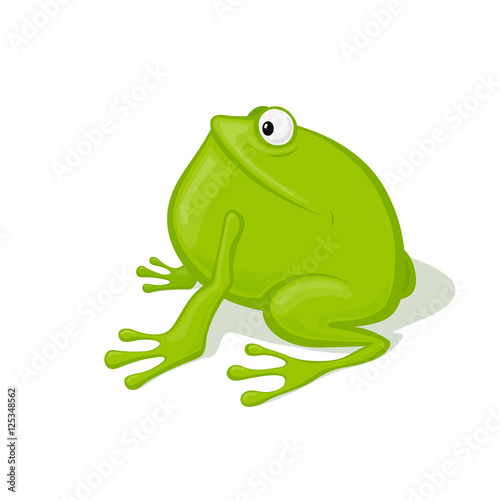 Funny cartoon toad vector illustration. Animal Zoo concept.