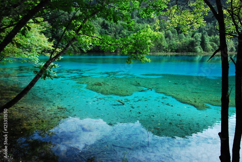 Amazing view of the Five Coloured Pool  the Colorful Pond  with azure crystal clear water among evergreen woods and mountains in Jiuzhaigou nature reserve  Jiuzhai Valley National Park   China.