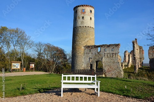 Ruin Zviretice - Czech Republic photo