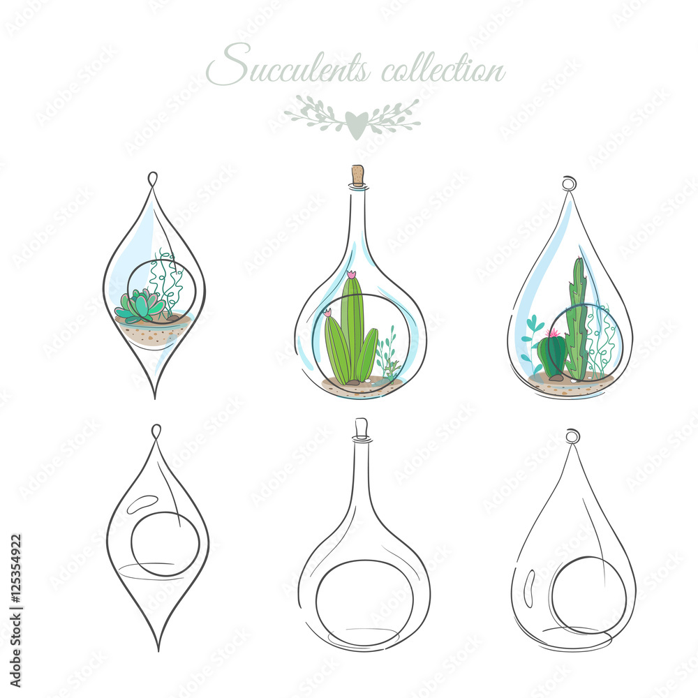 floral composition with cactus in decorative glass bottles, vector illustration floral composition with cactus in decorative glass bottles, vector illustration