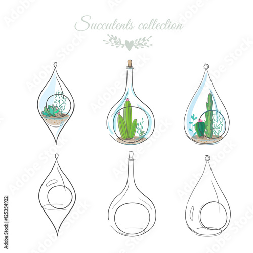 floral composition with cactus in decorative glass bottles, vector illustration