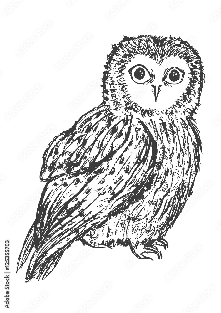 Owl hand drawn, black and white isolated vector illustration. wild owl ...