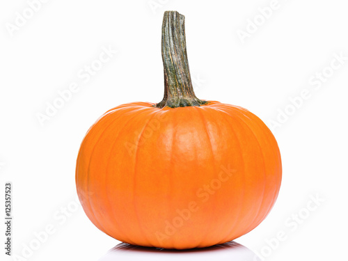 Fresh orange pumpkin isolated on white background. Studio shot of a nice ornamental autumn pumpkin for Halloween.