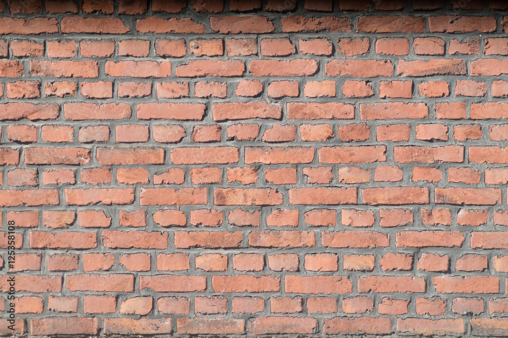 Obraz premium Ziegelmauer