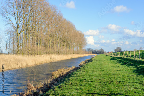 Row of tall and bare trees along a narrow canal next to an embankment dike separated by a fence from wooden poles and barbed wire on a sunny day in the winter season.