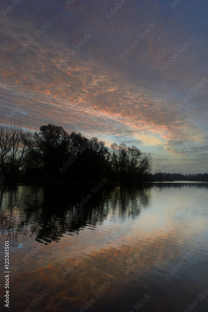 Fototapeta premium Poranna 