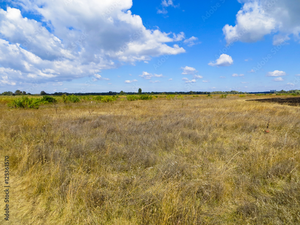 Wide meadow with the dry grass on autumn